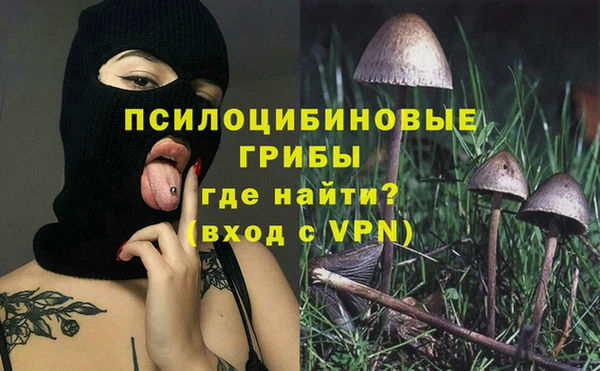 PSILOCYBIN Белокуриха