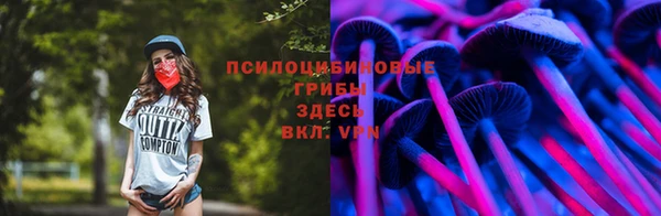 apvp Беломорск