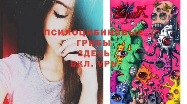 PSILOCYBIN Белокуриха