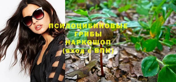 бутират Богородицк