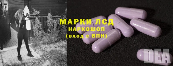 PSILOCYBIN Белокуриха