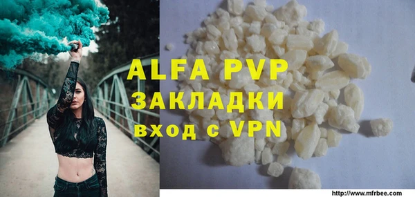 PSILOCYBIN Белокуриха