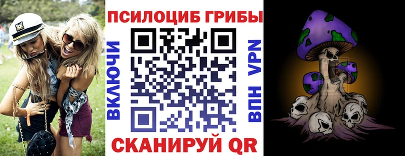 Купить закладки  Болгар  Псилоцибиновые грибы ЛСД 